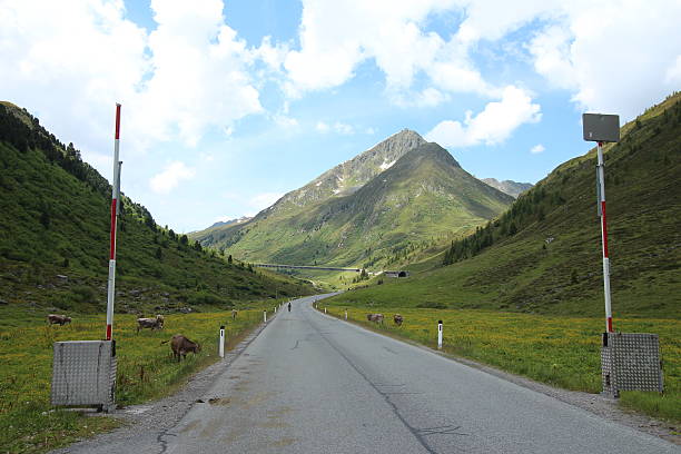 istock Gate and Road in the Alpine Mountains, Sellraintal, Tyrol, Austria 458907073
