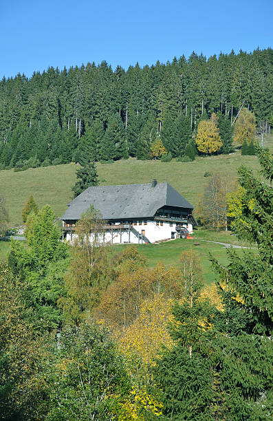 istock traditional Farmhouse,Black Forest,Germany 458907091