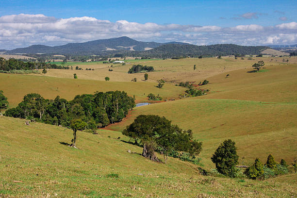 istock Rural Scene Cairns Highlands 458912547