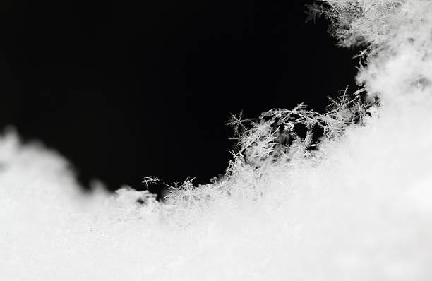 Snowflake in white snow stock photo