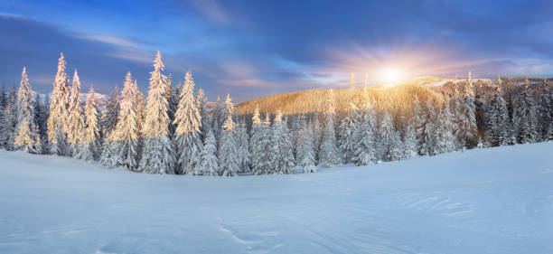 istock Beautiful winter sunrise in the mountains 458916339