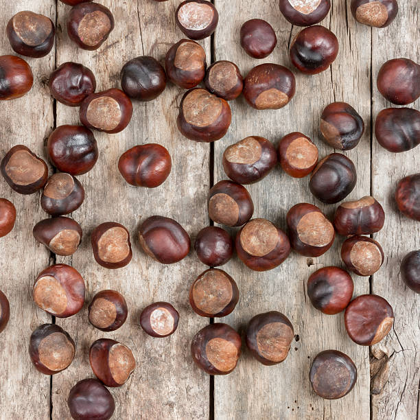 istock Closeup chestnuts on wooden desk 458916597