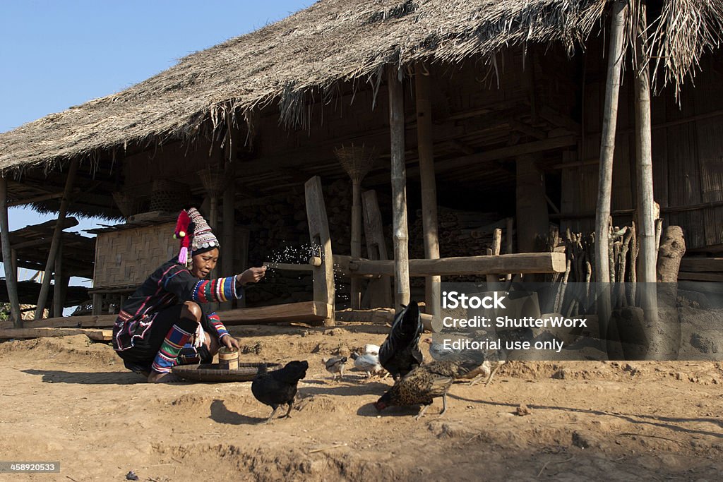 Akha Hill Tribe Woman "Chiang Rai, Thailand - February 9, 2005: Akha Hill Tribe Woman Dressed In Traditional Asian Tribal Clothing Washing Feeding Corn Kernals To Chickens In A Village In The Mountains." Akha Tribe Stock Photo
