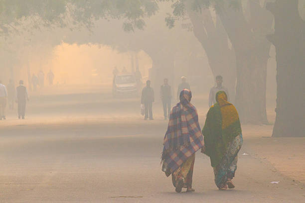 nueva delhi street vida - contaminación del aire fotografías e imágenes de stock