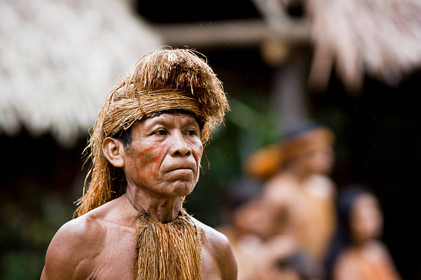 Amazon Tribe Chief. "Iquitos, Peru - September 23, 2007: A solemn tribe chief awaits the start of a traditional ceremony." amazon forest stock pictures, royalty-free photos & images