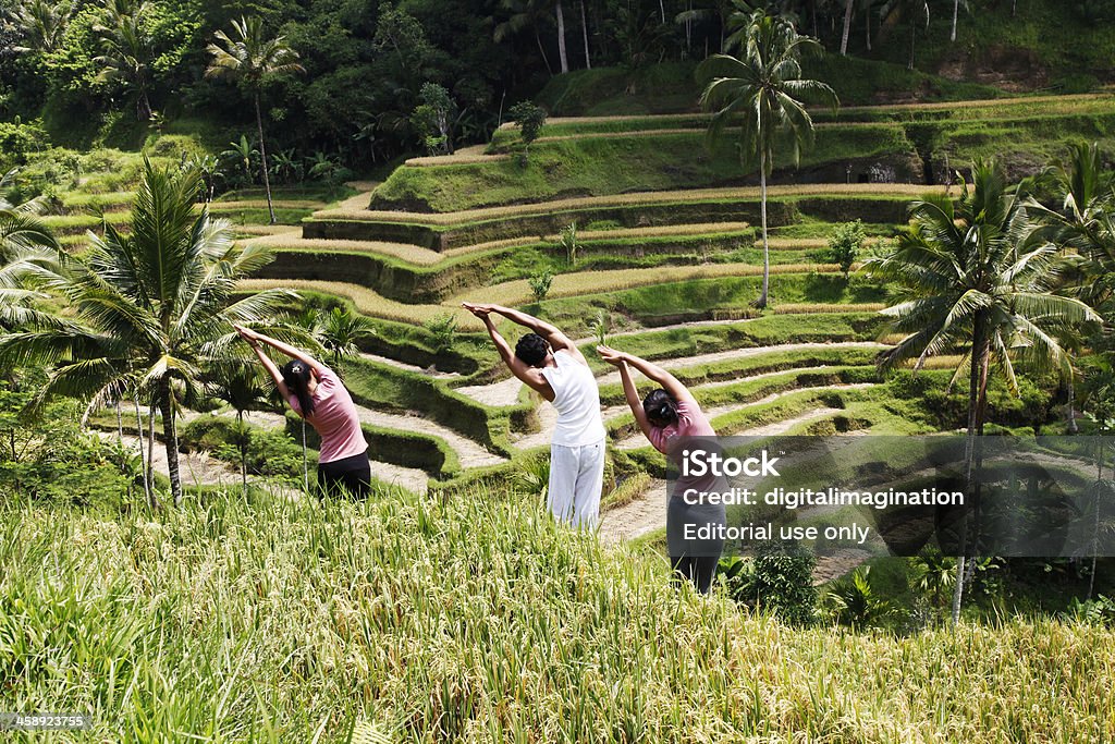 Yoga auf ein Reisfeld - Lizenzfrei Bali Stock-Foto