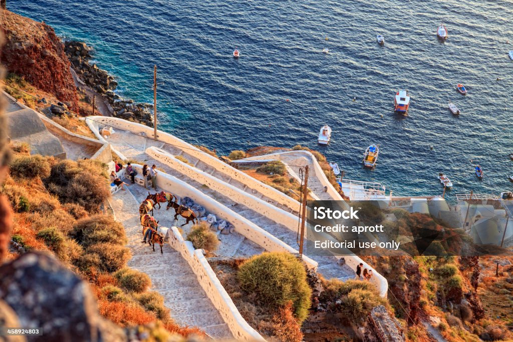 Muły na schody do Oia, Santorini, Grecja - Zbiór zdjęć royalty-free (Fotografika)