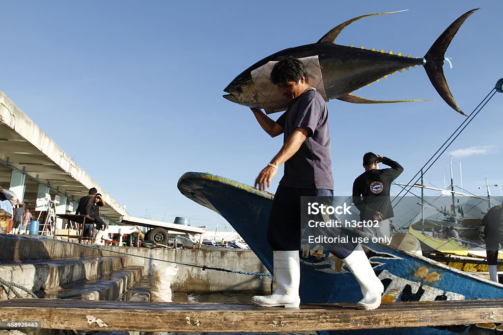 Descarga atún de aleta amarilla - Foto de stock de Atún de aleta amarilla libre de derechos