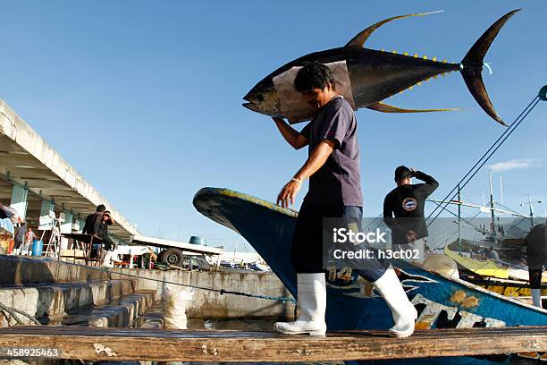 Scarico Di Tonno Pinna Gialla - Fotografie stock e altre immagini di Tonno albacora - Tonno albacora, General Santos, Container