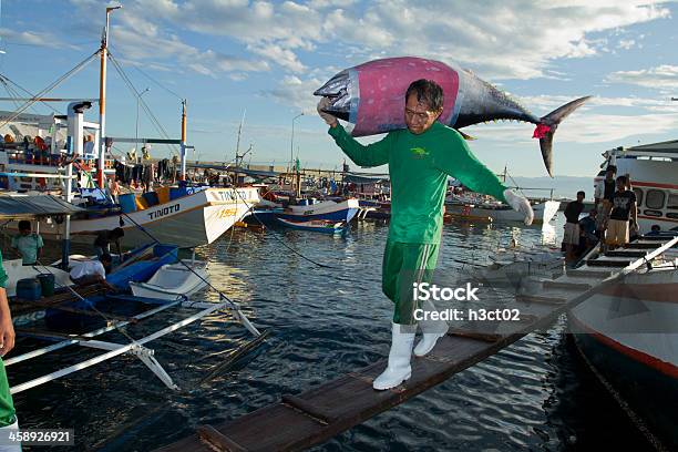 Scarico Di Tonno Pinna Gialla - Fotografie stock e altre immagini di Tonno - Animale - Tonno - Animale, Pesca - Attività all'aperto, Industria della pesca