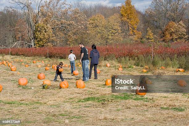 Foto de Família Colheita De Abóboras e mais fotos de stock de Campo - Campo, Comemoração - Evento, Criança