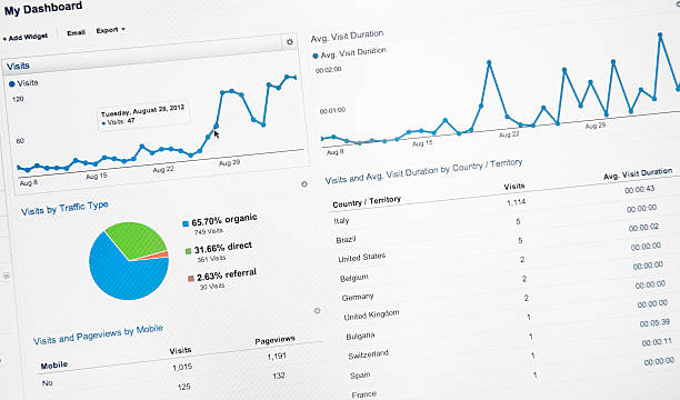 Lcd screen with google analytics "Florence, Italy - September 7, 2012: Close up of an lcd screen with the stat of a generic website on Google Analytics website. Google Analytics interface is a google.com tools that work like a database and allows to monitoring website traffic of own website." google stock pictures, royalty-free photos & images