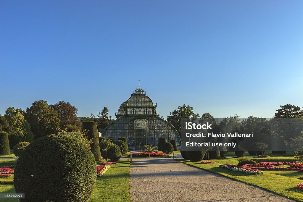 Palm House, Palazzo di Schönbrunn, Vienna - Foto stock royalty-free di Serra delle palme