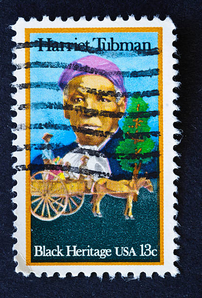 motive stamp with postmark.rider and white stallion in mongolia. different stamps with different horse breeds and other animals: