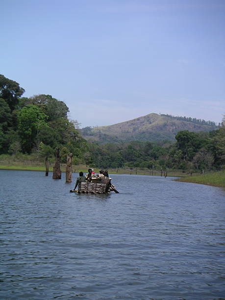 Rafting at the Periyar National Park "Thekkady, India - March 23, 2006: Periyar National Park is a wildlife reseve located in Kerala, south India. The Nationalpark is located in the mountainous area of the Cardamon Hills near the border to the indian state of Tamil Nadu. Tourists can explore the nationalpark and the Periyar Lake by organisted tours and also do boat rides on the lake. In the picture you see one of those rafting tours." periyar wildlife sanctuary stock pictures, royalty-free photos & images