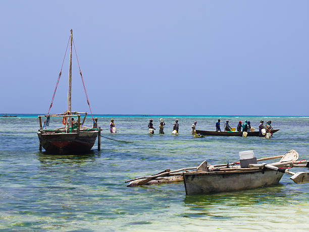 рыбалка на nungwi - africa agriculture zanzibar industry стоковые фото и изображения