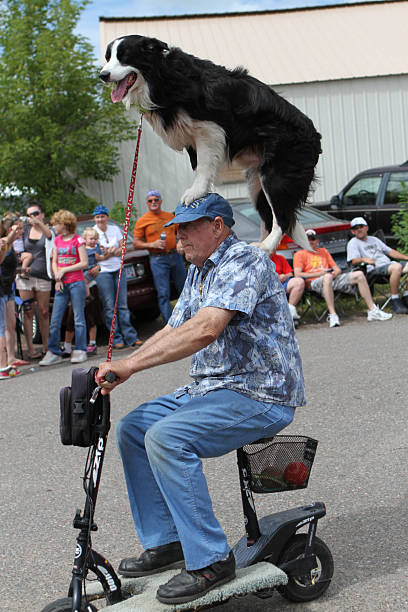 Bock, Minnesota, USA - July 4, 2010: Small town parade in Bock, MN celebrating the 4th of July.  Parade features local personalities - including a man riding a scooter with a dog faithfully perched on his head and shoulders.