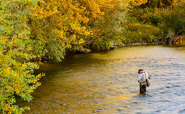 ボイジー川でのフライフィッシング - boise river ストックフォトと画像