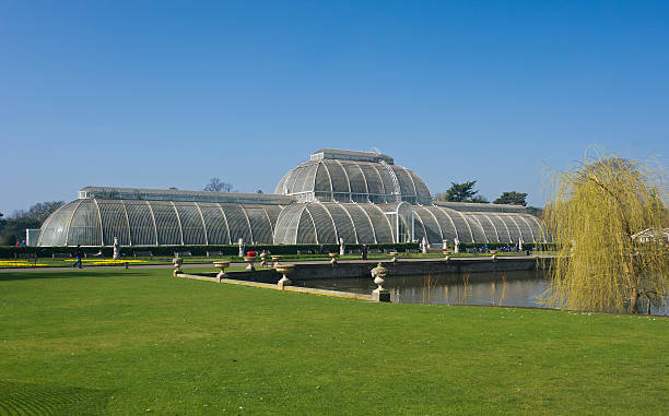 Palm House, Kew Gardens "London,UK,March 15th 2012.visitors to Kew Gardens Palm house on a sunny spring day" kew gardens stock pictures, royalty-free photos & images