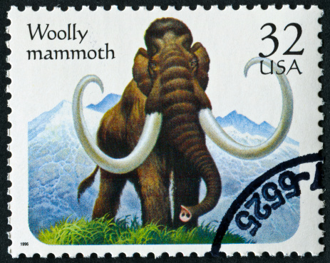 A one Stotinki Bulgarian postage stamp issued in 1971 depicting a mammoth.