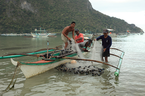 El Nido, Palawan Island, Philippines - February 16, 2012: Local fishermen caught fish are removed from fishing nets