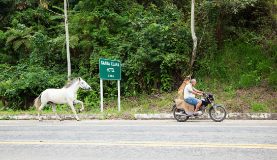 Santa Clara, Brazil - October 7, 2011: A man and a dog rides a motorcycle while towing a horse on a rope.