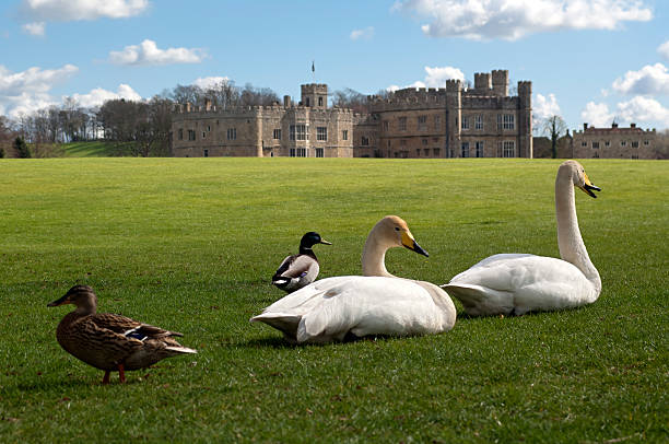 leeds castle - leeds castle stock-fotos und bilder