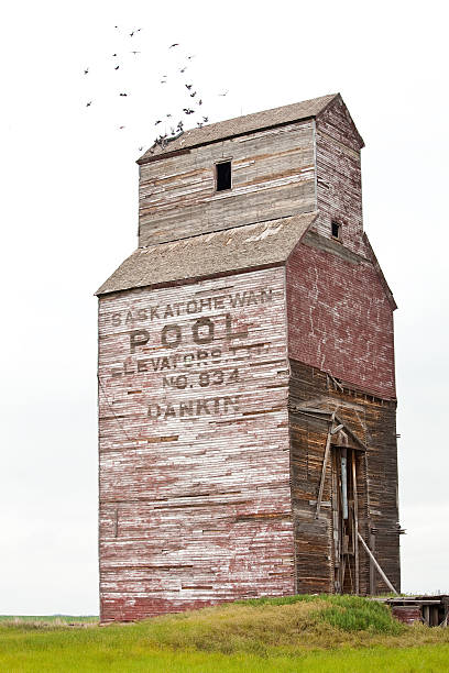 サスカチュワン穀物エレベーター - canada saskatchewan grain elevator prairie ストックフォトと画像