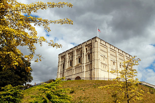 Norwich Castle in late summer "Norwich, England - August 29, 2009: Norwich Castle keep and castle mound on a late summer day. The stone keep was constructed by order of the King between 1100 and 1120 to replace a wooden structure which stood on the same mound dating back to the Norman conquest of 1066. The castle was used as a prison until 1887 and has been used as a museum since 1894." norman uk tree sunlight stock pictures, royalty-free photos & images