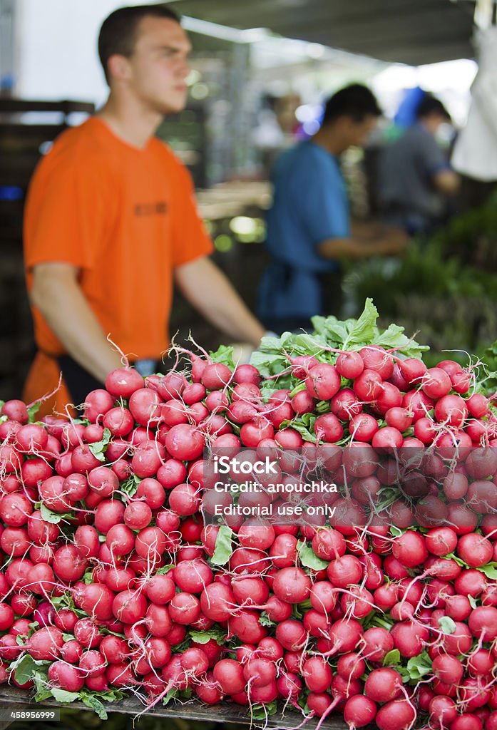 Petites betteraves à la vente, du farmer's market, à New York - Photo de Acheter libre de droits