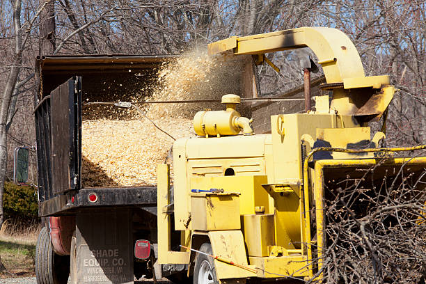 industrial broyeur de branches - broyeur de branches photos et images de collection