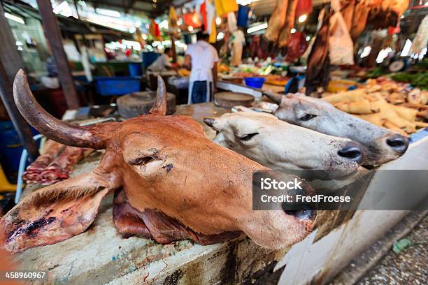 Foto de Colorido Mercado Asiático e mais fotos de stock de Adulto - Adulto, Animal, Barraca de Mercado