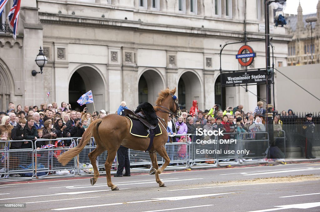 Cavallo di dispersione a Parliament street al giubileo di diamante - Foto stock royalty-free di 2012