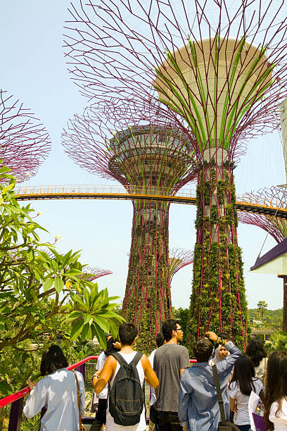 fantastische künstlichen bäumen gesäumt - editorial asia singapore tourist stock-fotos und bilder