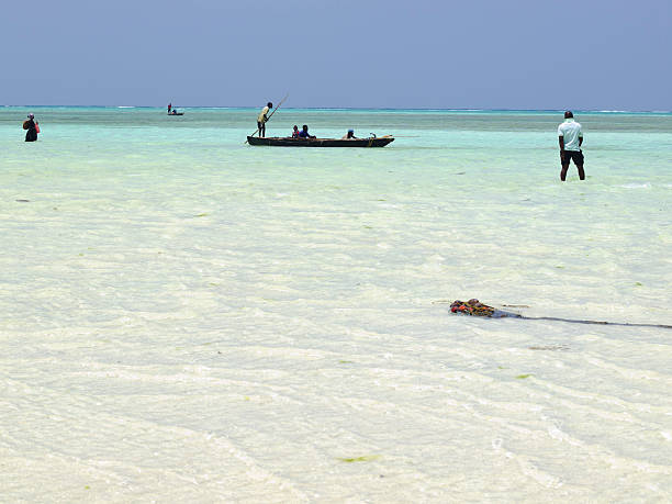 pesca - africa agriculture zanzibar industry foto e immagini stock