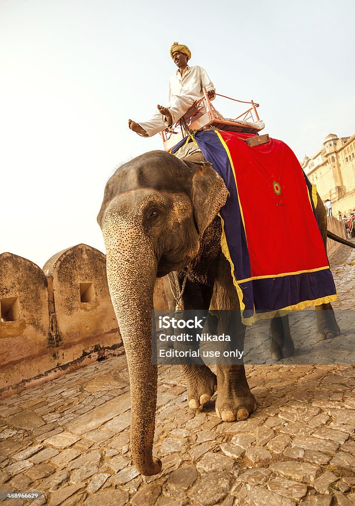 Elefante en el Fuerte Amber - Foto de stock de Animal libre de derechos