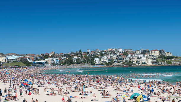 spiaggia di bondi beach, sydney, australia (xxxl) - surfing new south wales beach australia foto e immagini stock