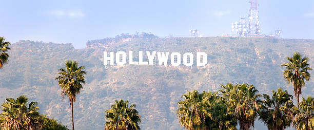 hollywood-schild mit palmen - national landmark editorial color image horizontal stock-fotos und bilder