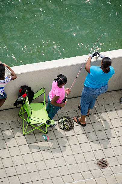 fish was caught, the fisherman caught the sardine on her hook