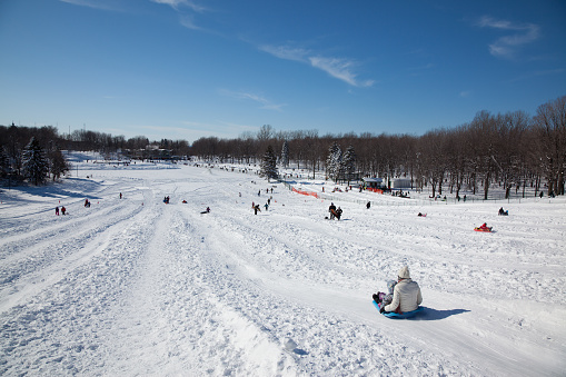 Montreal, Сanada - February 26, 2012: People having fun and sliding at Parc du Mont Royal and Lac des Castors, Montreal.