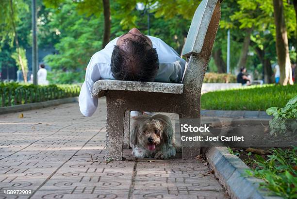 Mann Und Sein Hund Im Park Stockfoto und mehr Bilder von Abwarten - Abwarten, Aktiver Lebensstil, Asien