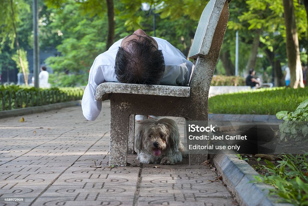 Uomo e il suo cane nel parco - Foto stock royalty-free di Adulto
