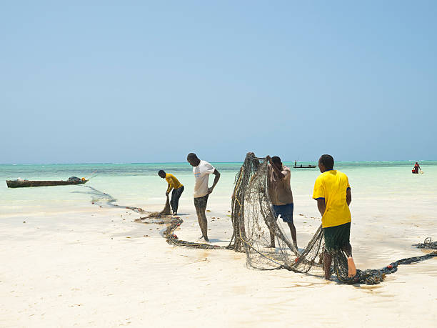 отлив - africa agriculture zanzibar industry стоковые фото и изображения