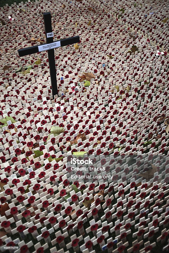 Dzień Pamięci: Royal British Legion - Zbiór zdjęć royalty-free (Anglia)