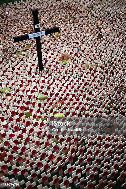 Dzień Pamięci Royal British Legion - zdjęcia stockowe i więcej obrazów Anglia - Anglia, Anglia Południowo-wschodnia, Bez ludzi