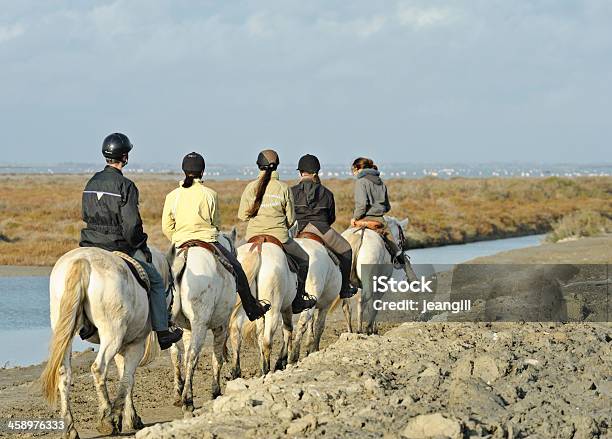 Camargue Pferde Frankreich Stockfoto und mehr Bilder von Camargue - Camargue, Camarguepferd, Frankreich