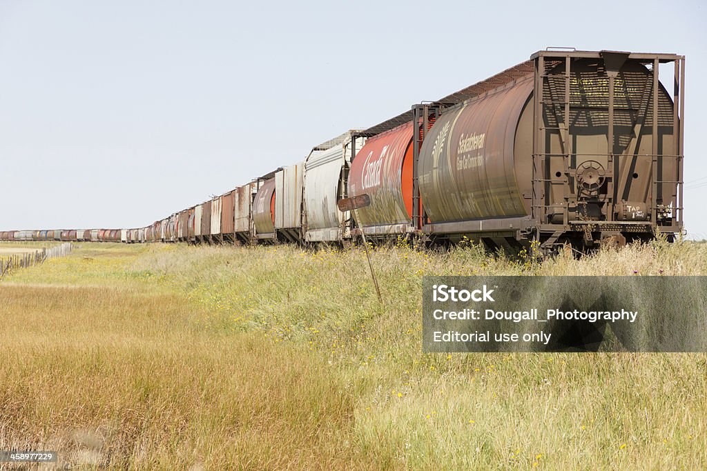 Immagine orizzontale di Canadian fiore Hopper auto in binario" - Foto stock royalty-free di Canadian National Railway