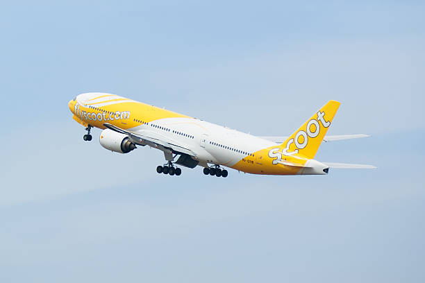 scoot b777-big yella fella - named airline fotografías e imágenes de stock