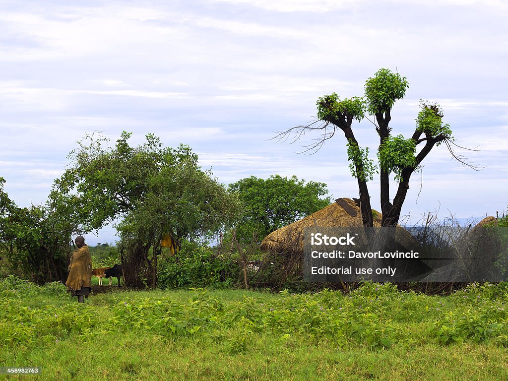 Muscat grape Village - Lizenzfrei Afrika Stock-Foto