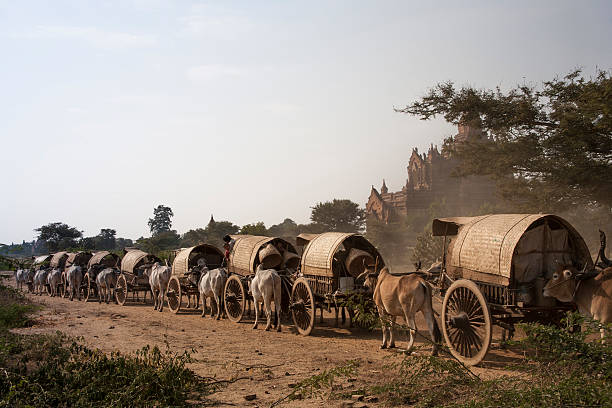 myanmar: cestas parten de año nuevo festival de bagán - bagan myanmar burmese culture family fotografías e imágenes de stock